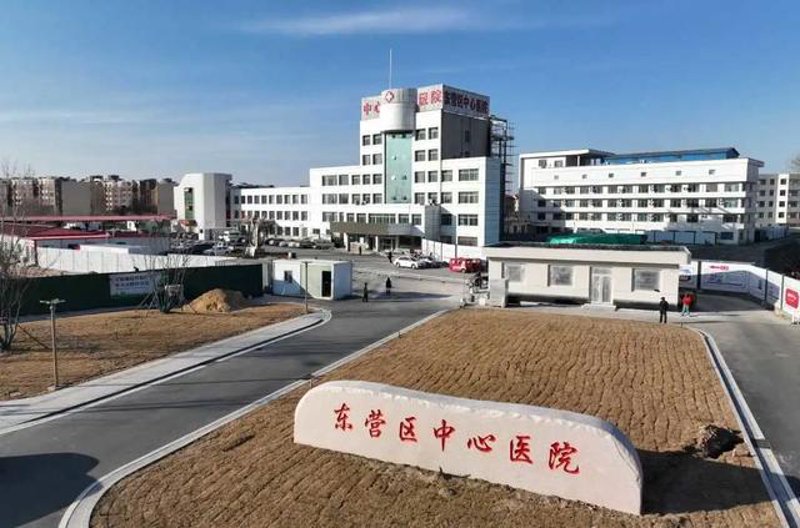 中医内科:传统医学的智慧
