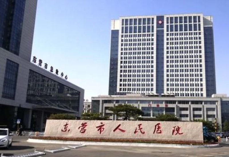 中医妇科:传统与现代的交融